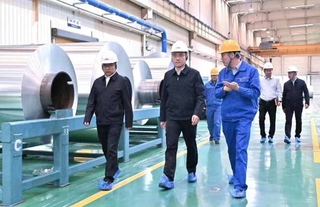 新安县委书记王智到万基控股集团调研